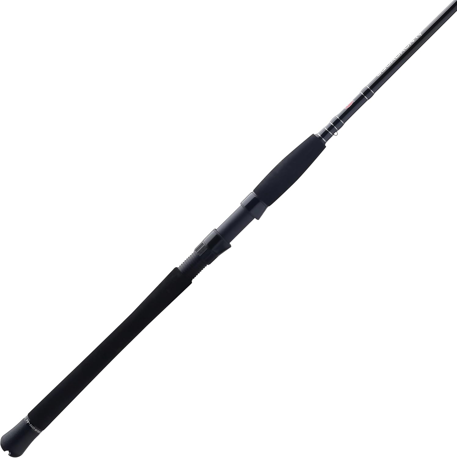 PENN Squadron IV Inshore Spinning Rod