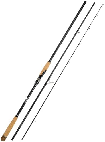 Jenseits 6-12Ft Fishing Rod, 2 & 3-Piece Spinning & Casting Pole